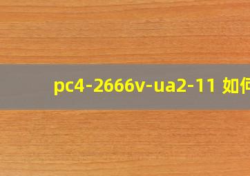 pc4-2666v-ua2-11 如何